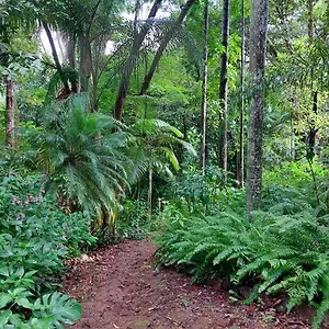 secluded-rainforest-haven-3-acres-sleeps-7.hotelssunshinecoast.net/